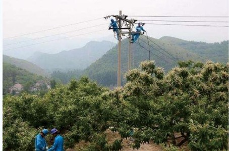 重庆三峡水利供电有限公司2024年度电力设计框架